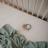 Teething Ring Dino